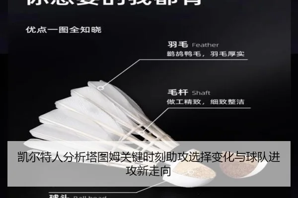 凯尔特人分析塔图姆关键时刻助攻选择变化与球队进攻新走向