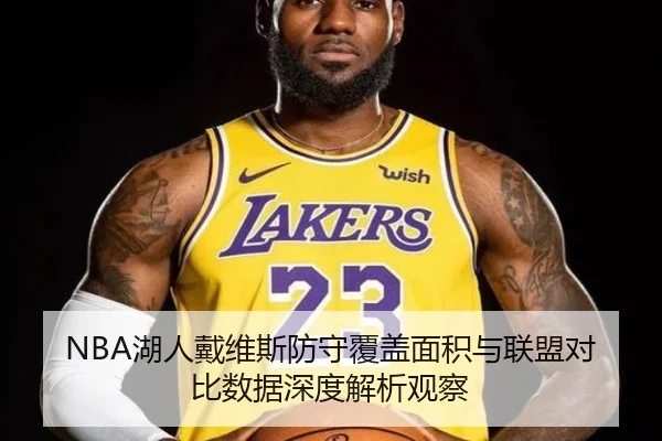 NBA湖人戴维斯防守覆盖面积与联盟对比数据深度解析观察