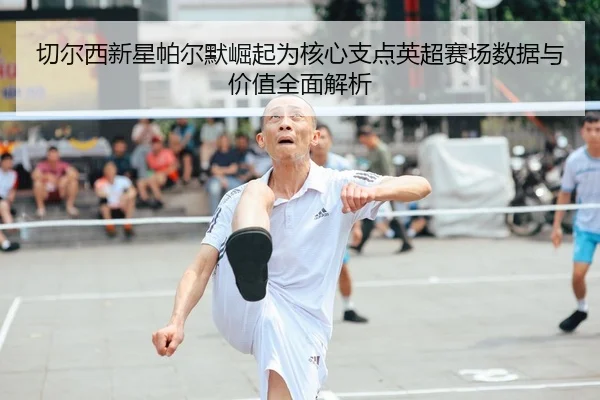 切尔西新星帕尔默崛起为核心支点英超赛场数据与价值全面解析